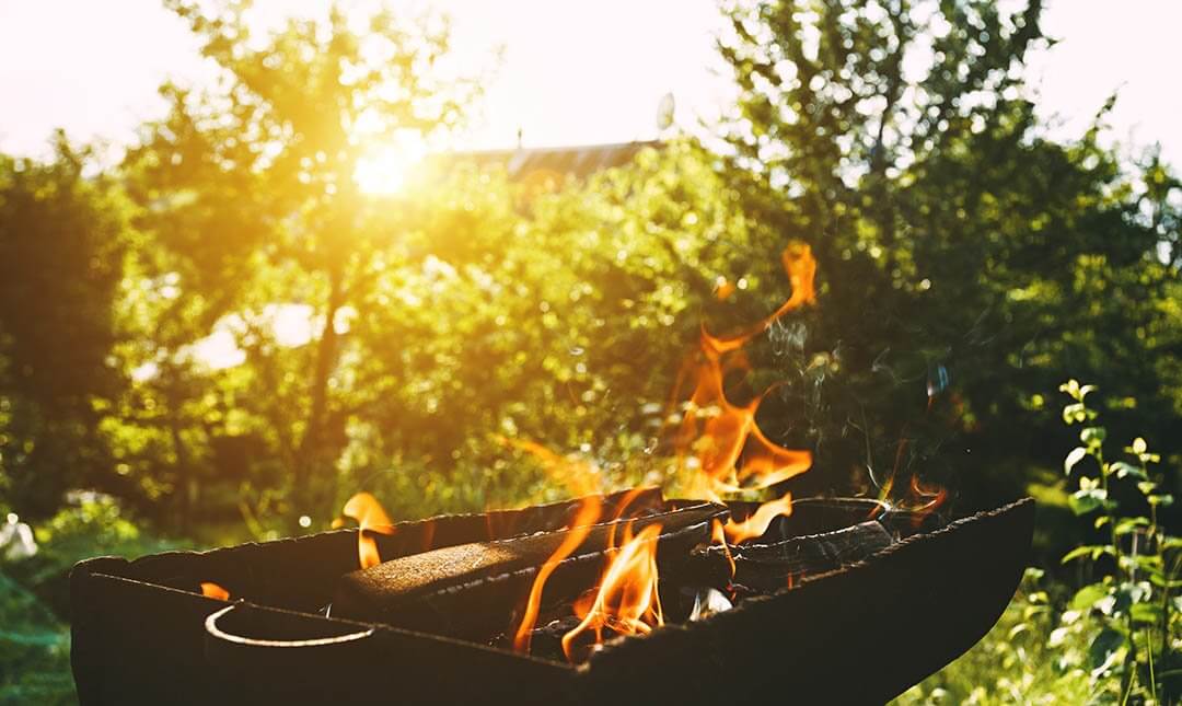 Comida al aire libre del Día del Trabajo